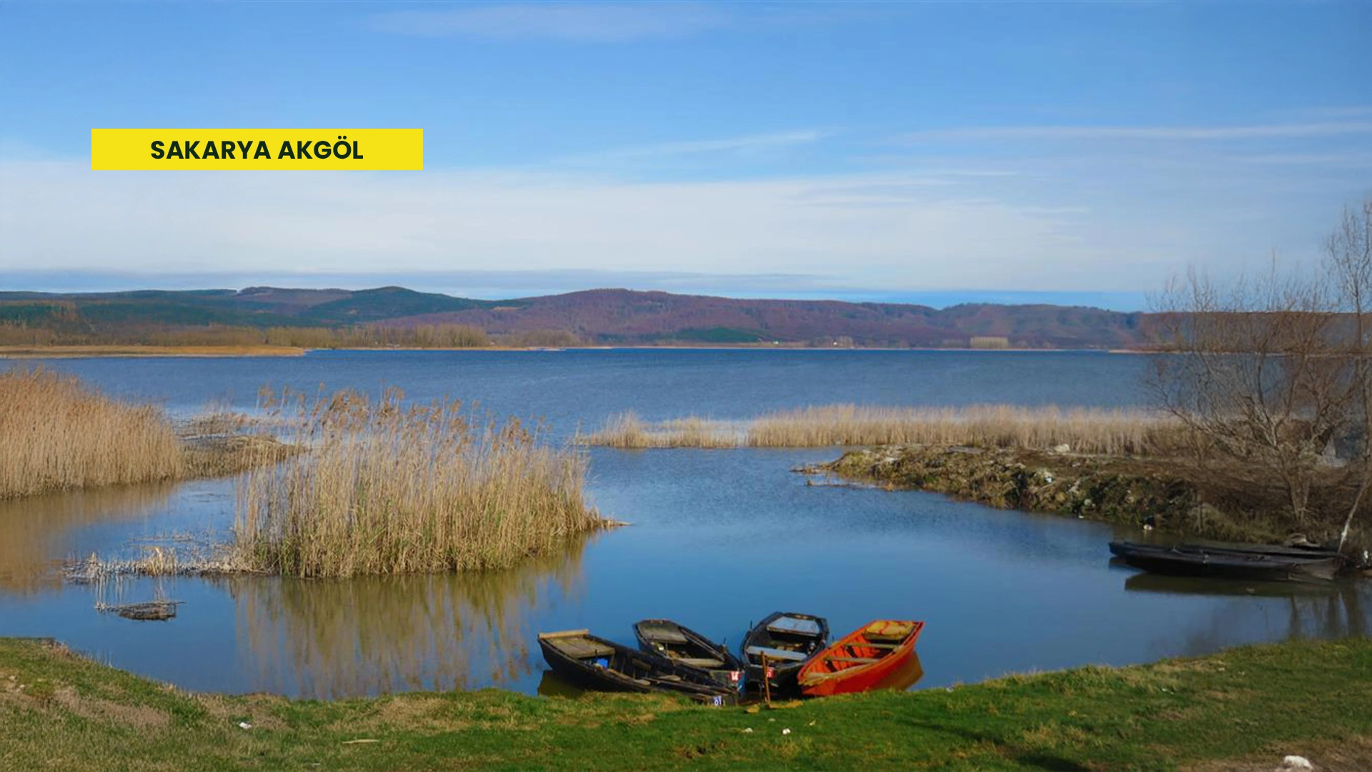 Gölkent Projesi Arsa Festival Sakarya Ferizli Yatırımlık Arsa